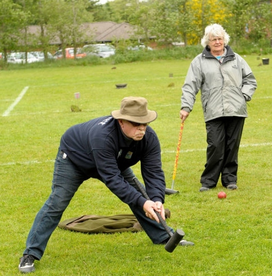 DM2011JVFejer