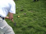 DSC00193.JPG