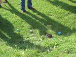 DSCF4924.JPG