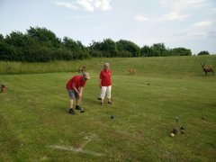 IMG_20160604_170445.jpg