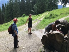 IMG_0071.jpg