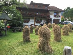 IMG_0094.jpg