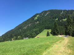 IMG_0194.jpg