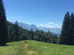 IMG_0195.jpg