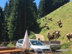 IMG_0198.jpg