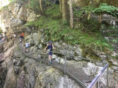 IMG_0205.jpg