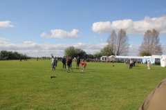 IMG_0081.jpg