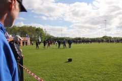 IMG_0082.jpg