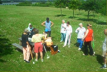 nyserne.jpg (27664 bytes)