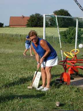 svensk.jpg (16840 bytes)