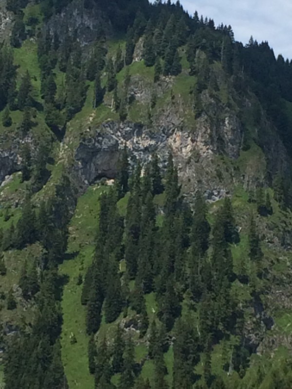 IMG 0999