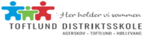 Toftlund Distriktsskole logo