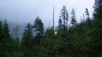 018-SAM_0294.JPG
