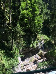 IMG_0062.JPG