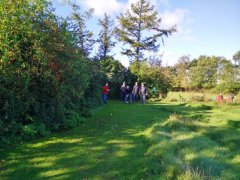 IMG_20171008_120254.jpg