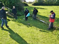 IMG_20171008_121731.jpg