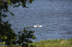 IMG_0347.jpg