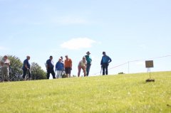 IMG_0355.jpg