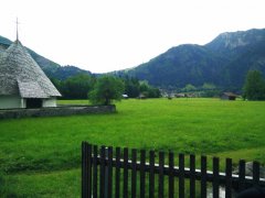 IMG_20170709_114011.jpg