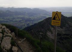 IMG_20170709_151201b.jpg