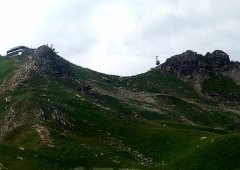 IMG_20170709_162617b.jpg