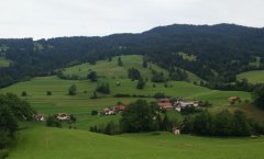 IMG_20170711_130158.jpg