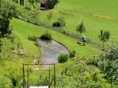 IMG_20190710_151426.jpg