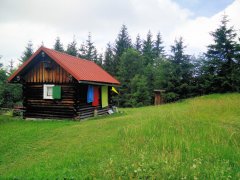 IMG_20190715_112839.jpg