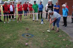 IMG_2222.jpg